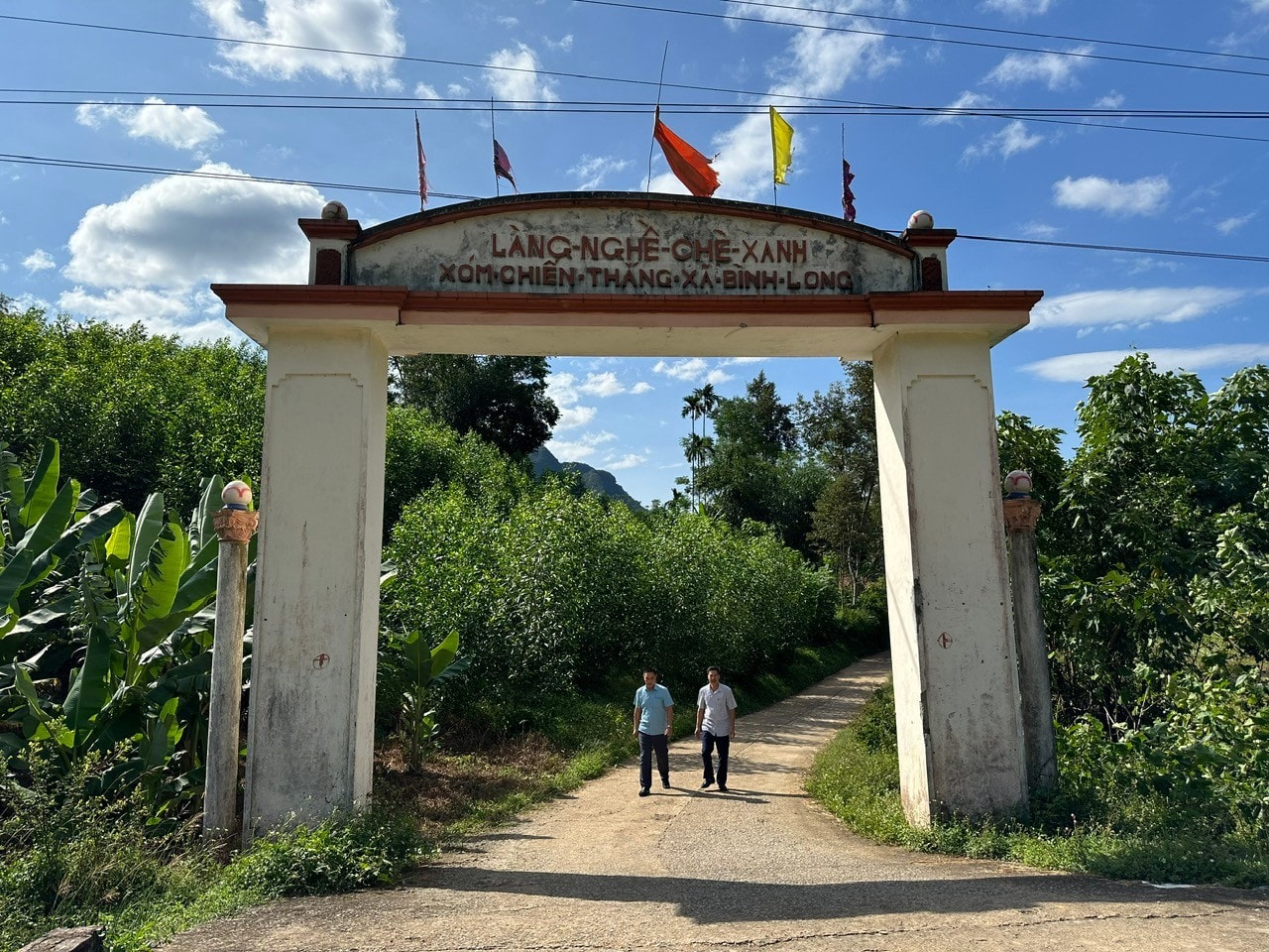 1-8939.jpg