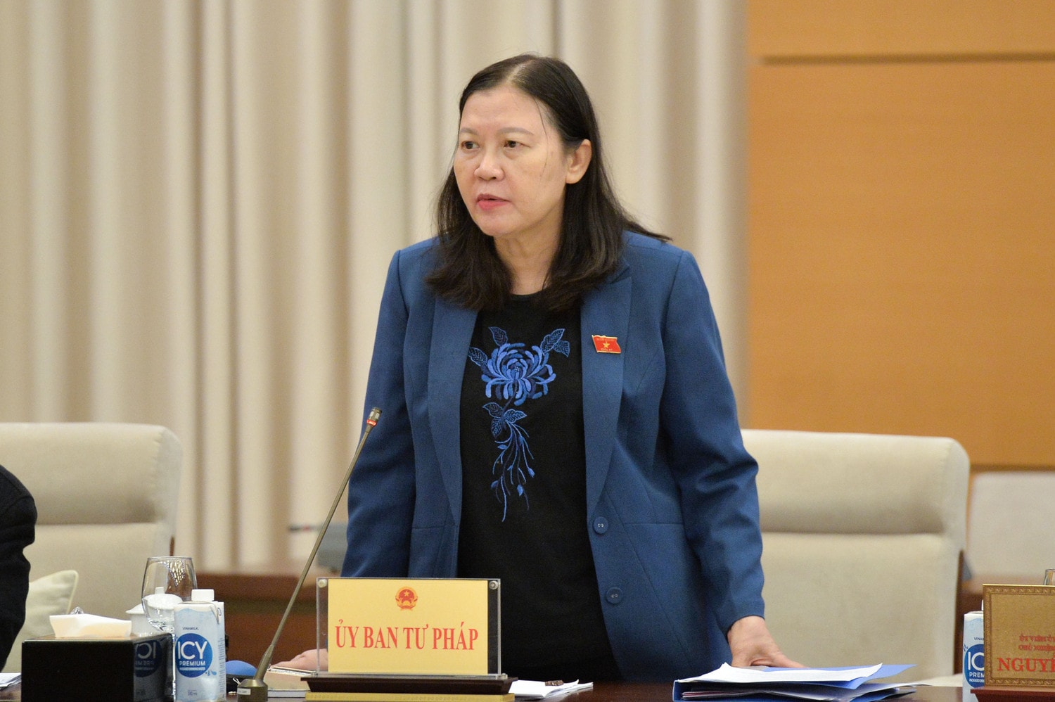 chu-nhiem-uy-ban-tu-phap-le-thi-nga-7489.jpg