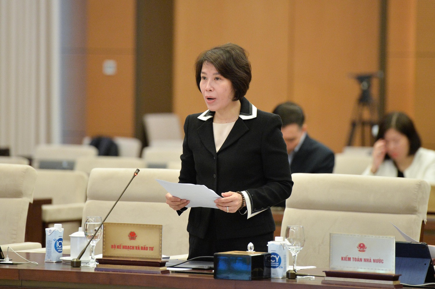 thu-truong-bo-ke-hoach-va-dau-tu-nguyen-thi-bich-ngoc.jpg