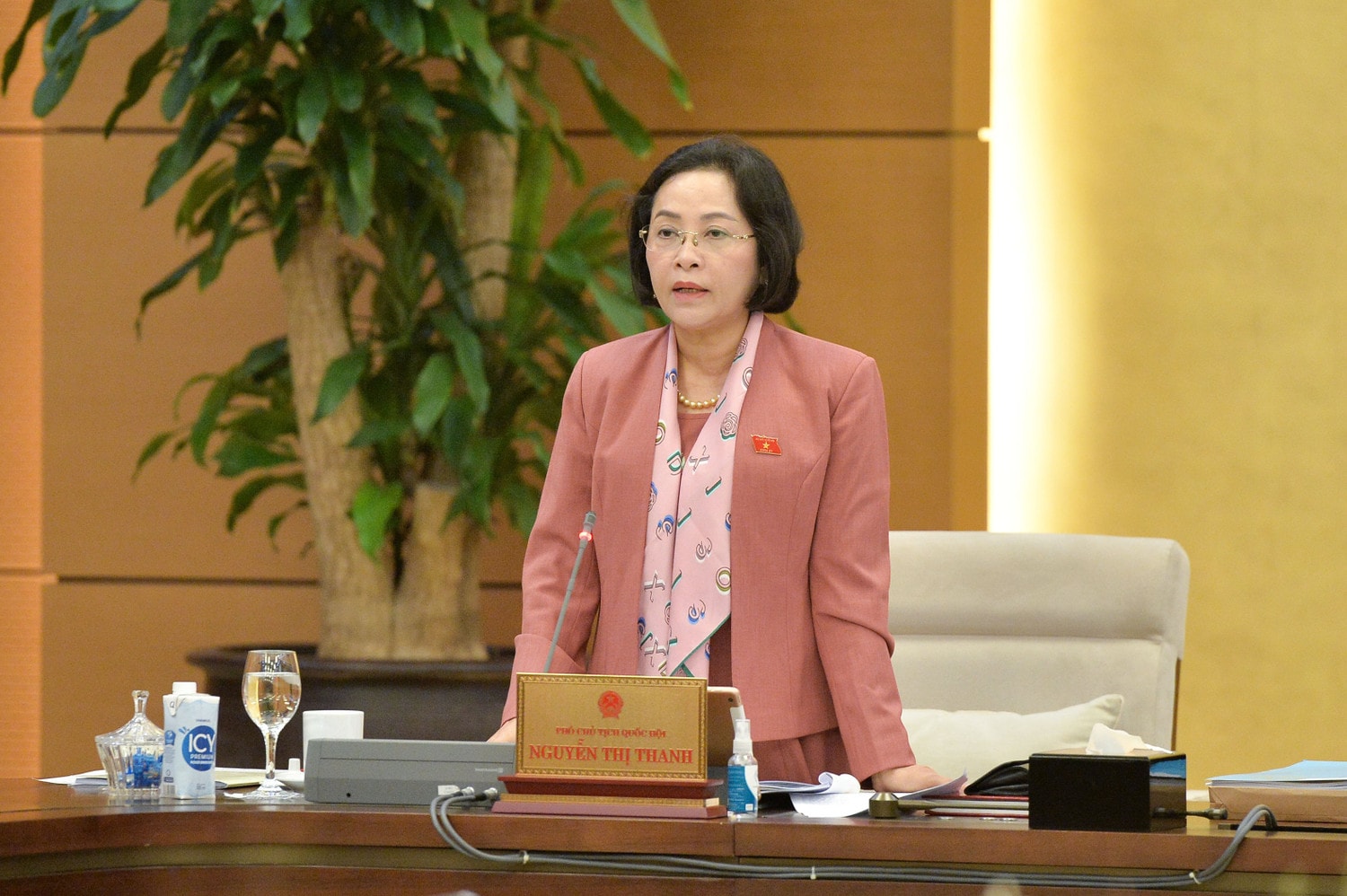 pho-chu-tich-qh-nguyen-thi-thanh-1.jpg