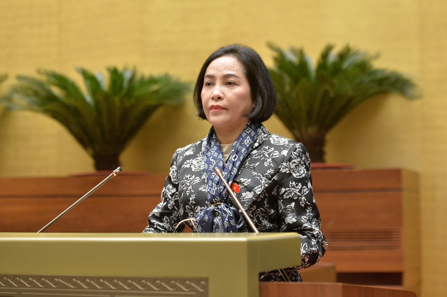 Phó Chủ tịch Quốc hội Nguyễn Thị Thanh chủ trì Hội nghị. Ảnh: Hồ Long