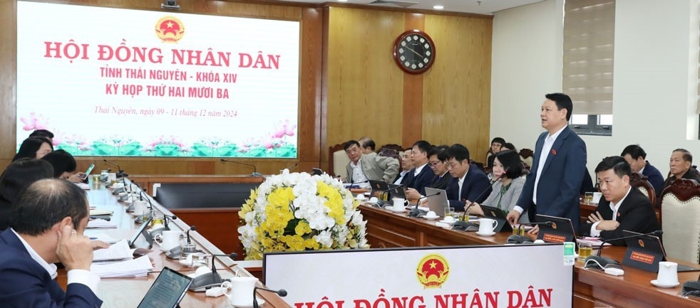 Các đại biểu tham gia thảo luận tổ. Ảnh: Bảo Quyên