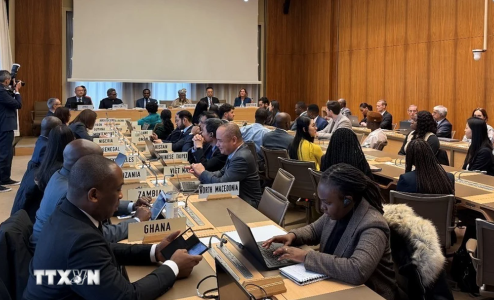 At the closing ceremony of the WTO's 2024 class of young professionals. (Photo: VNA broadcasts) At the closing ceremony of the WTO's 2024 class of young professionals. (Photo: VNA broadcasts)