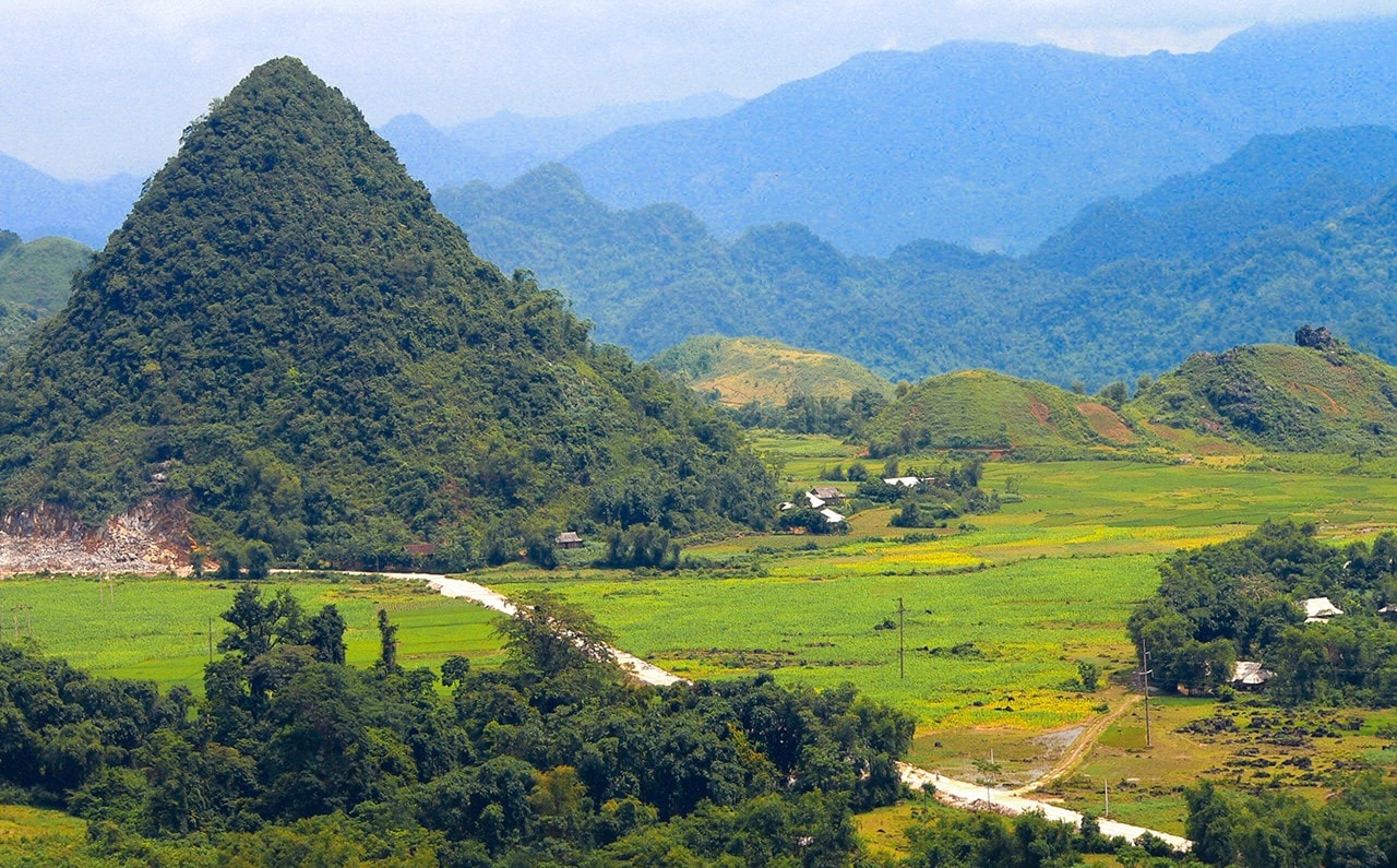 anh-3-du-an-vi-mot-viet-nam-xanh-va-phat-trien-ben-vung-huong-toi-phuc-hoi-rung-tren-hanh-lang-ket-noi-giua-hoa-binh-va-son-la-anh-vna.jpg