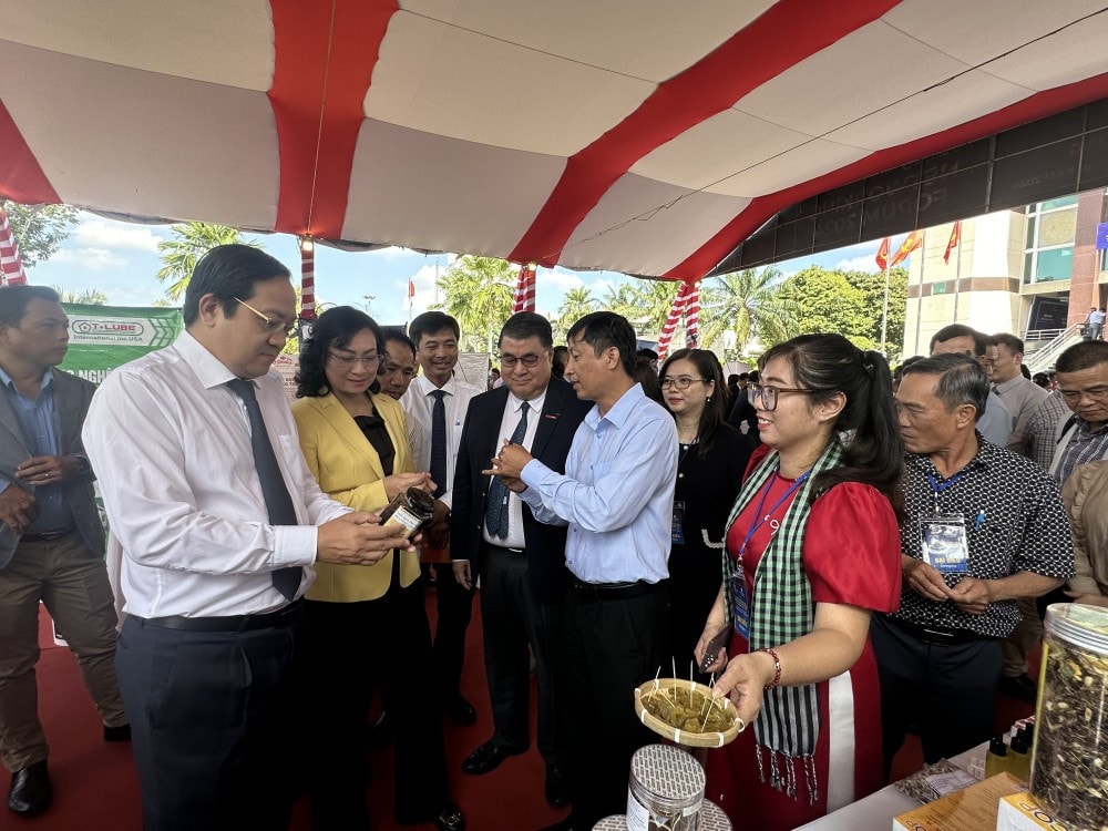 Đại biểu tham quan các gian hàng quảng bá sản phẩn tại Hội nghị kết nối chuỗi cung ứng hàng hóa xuất nhập khẩu tỉnh Long An năm 2024. Ảnh: H. Hạch