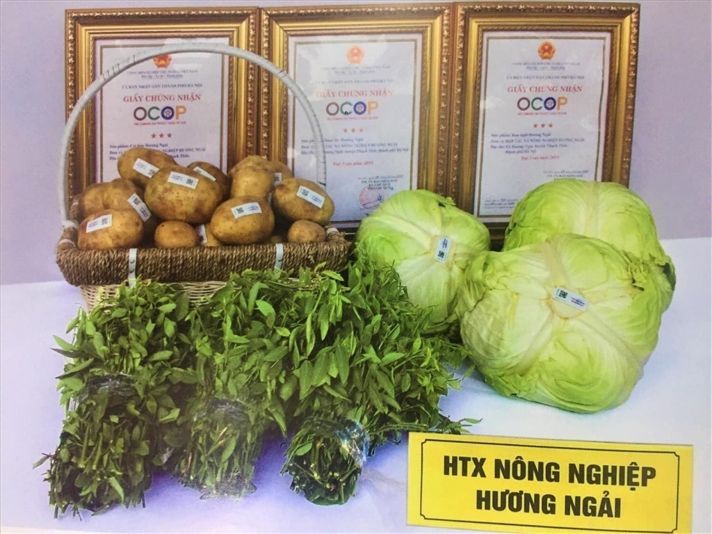htx-nong-nghiep-huong-ngai.jpg