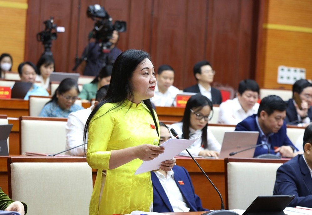 Đại biểu phát biểu ý kiến tại phiên thảo luận. Ảnh: Hồng Duyên