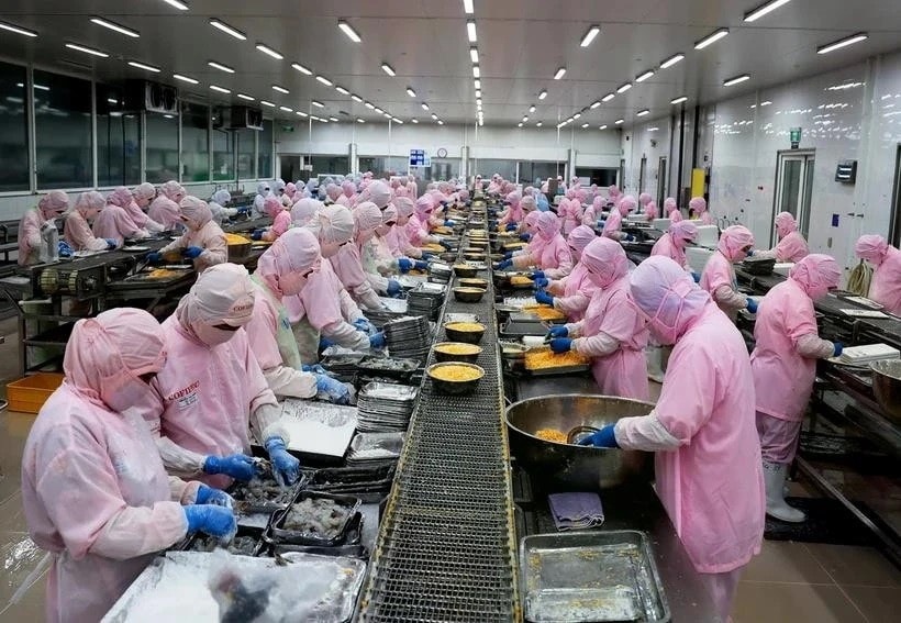 Vietnam's aquatic exports reached 10 billion USD in 2024, driven by shrimp and pangasius. (Photo: VNA) czech-republic.jpg