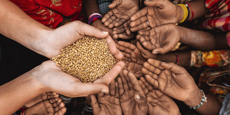 food-crisis-problem-pe507oa4pz0pucc22wsk3nomppaduqe79ma2077446.png