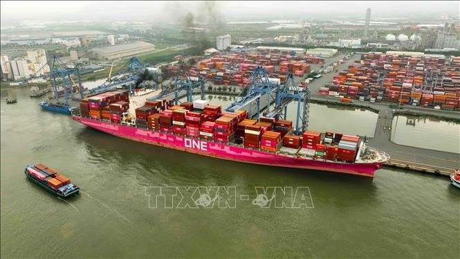 Cảng Quốc tế Tân Cảng - Cái Mép ở phường Tân Phước, Thị xã Phú Mỹ, tỉnh Bà Rịa - Vũng Tàu. Ảnh: Vũ Sinh/TTXVN