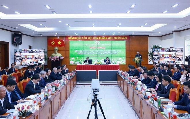 Thủ tướng Phạm Minh Chính dự Hội nghị triển khai nhiệm vụ ngành nông nghiệp. Ảnh: Dương Giang/TTXVN