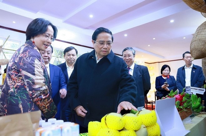 Thủ tướng Phạm Minh Chính tham quan trưng bày sản phẩm nông nghiệp. Ảnh: Dương Giang/TTXVN