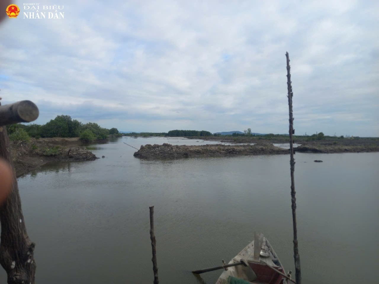 anh2-6263.jpg