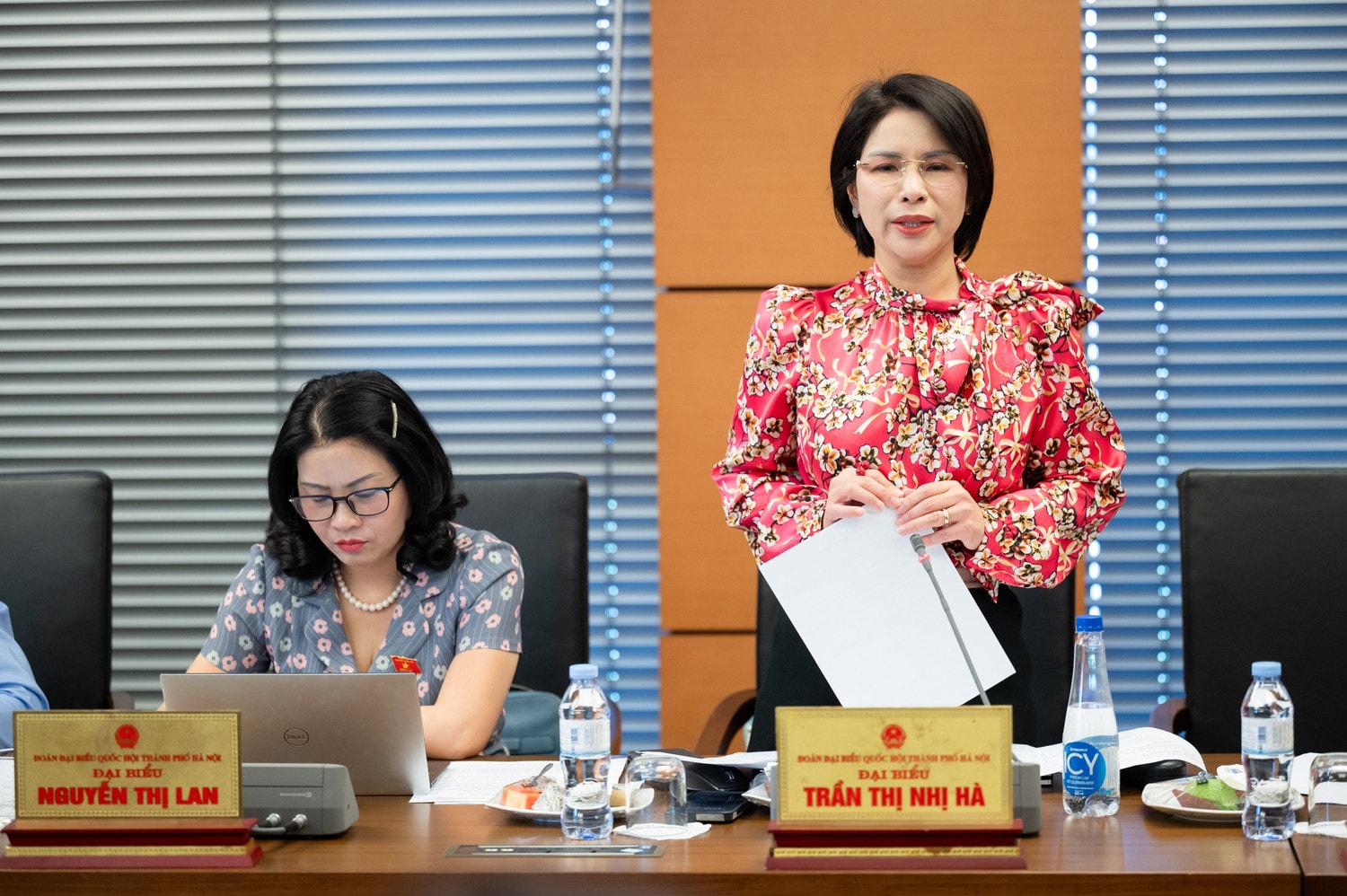 tran-thi-nhi-ha.jpg