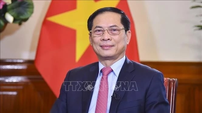Deputy Prime Minister and Foreign Minister Bui Thanh Son. Photo: VNA 43cdd2ce-50c3-45cf-b23f-c69c7f6fd271.jpg