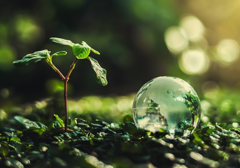 sustainabiity-climate-green-nature.jpg