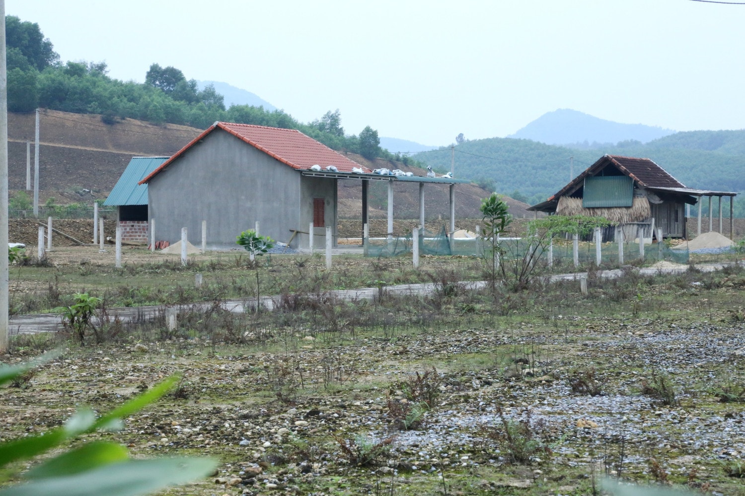 anh-1.jpg