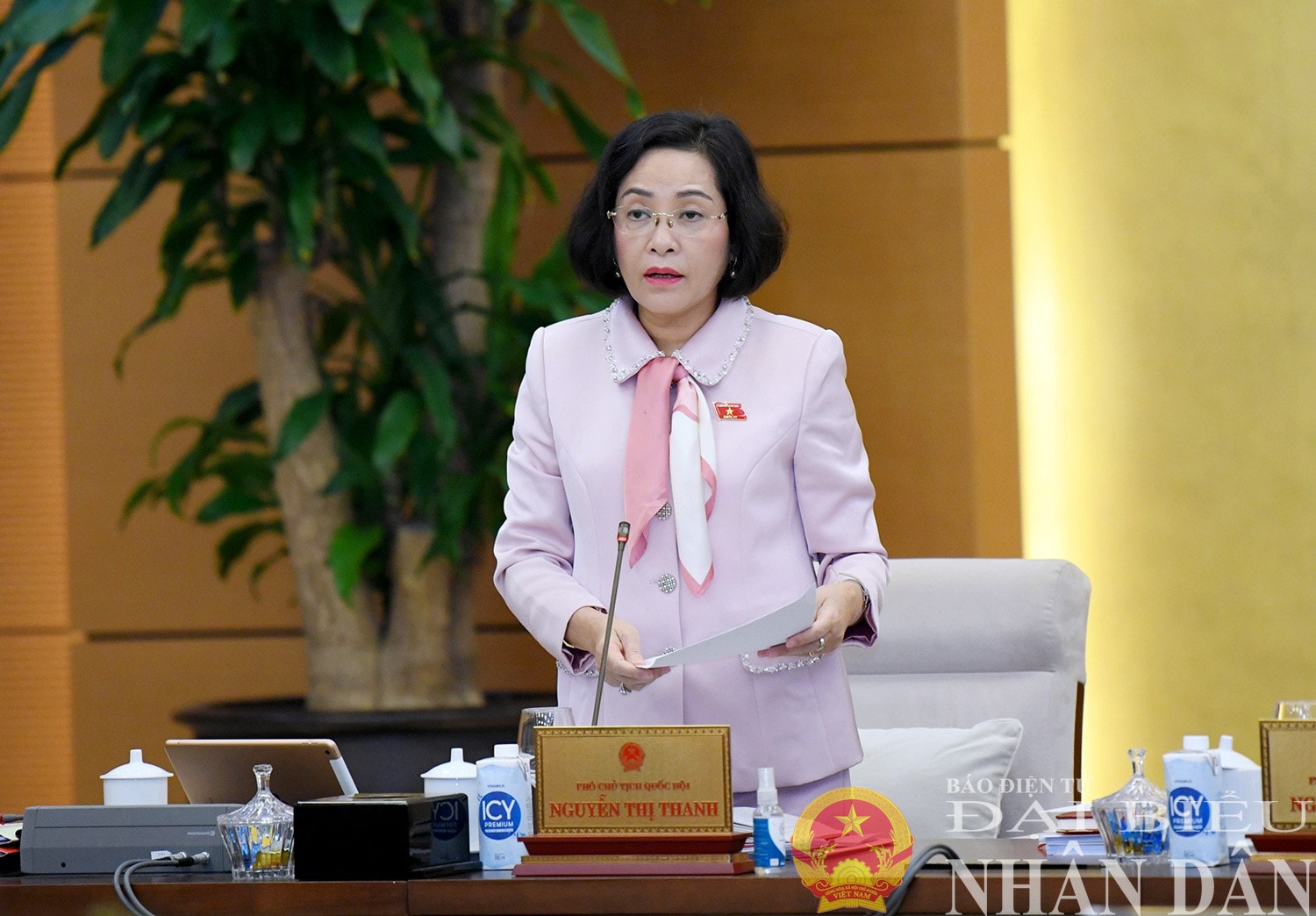 dbnd_br_pct-thanh.jpg