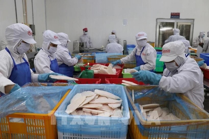 Vietnamese workers saw their average monthly income increase 8.6% annually to 7.7 million VND in 2024. (Photo: VNA) mh.jpg