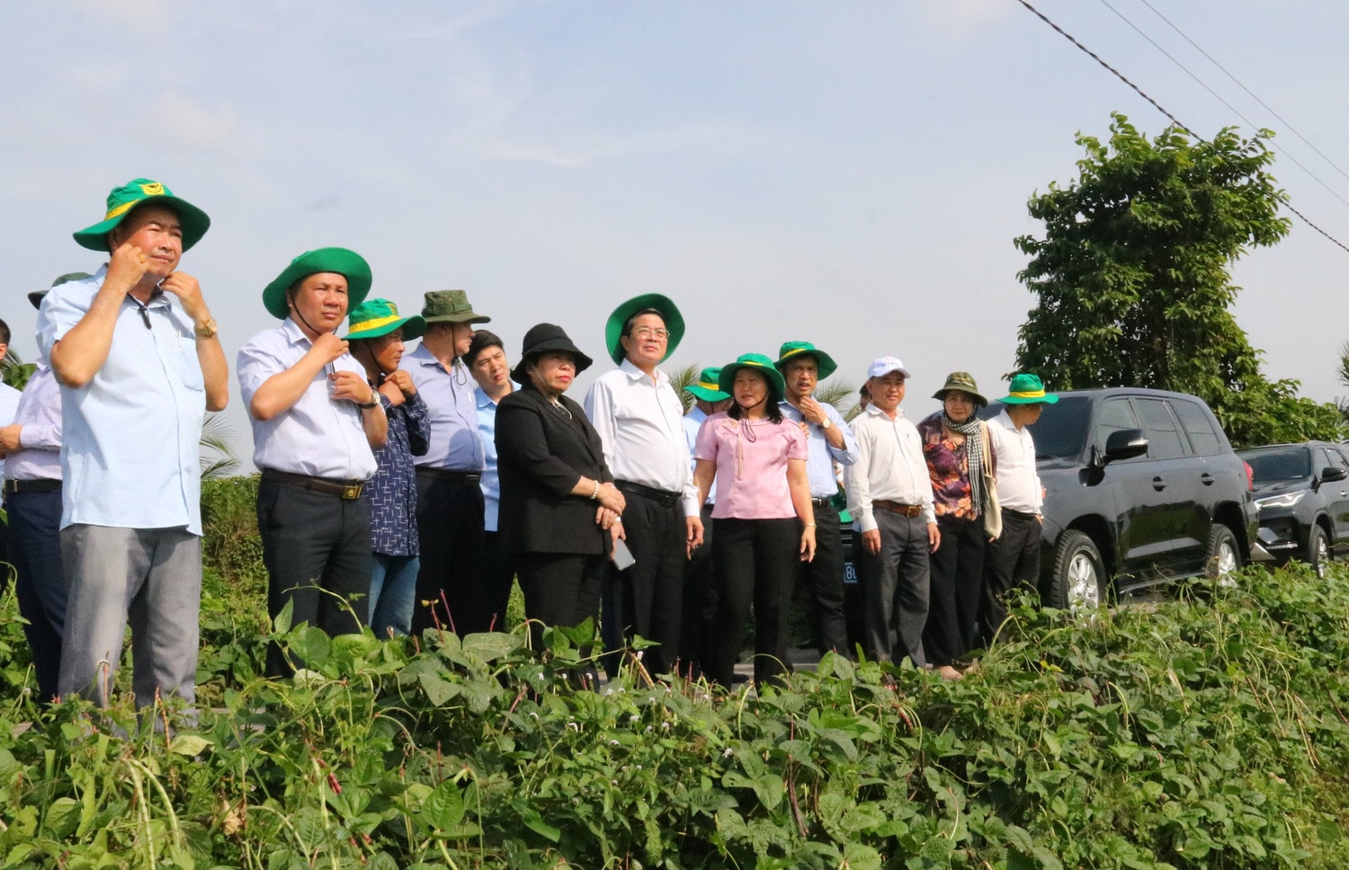 htx-1-new-green-farm.jpg