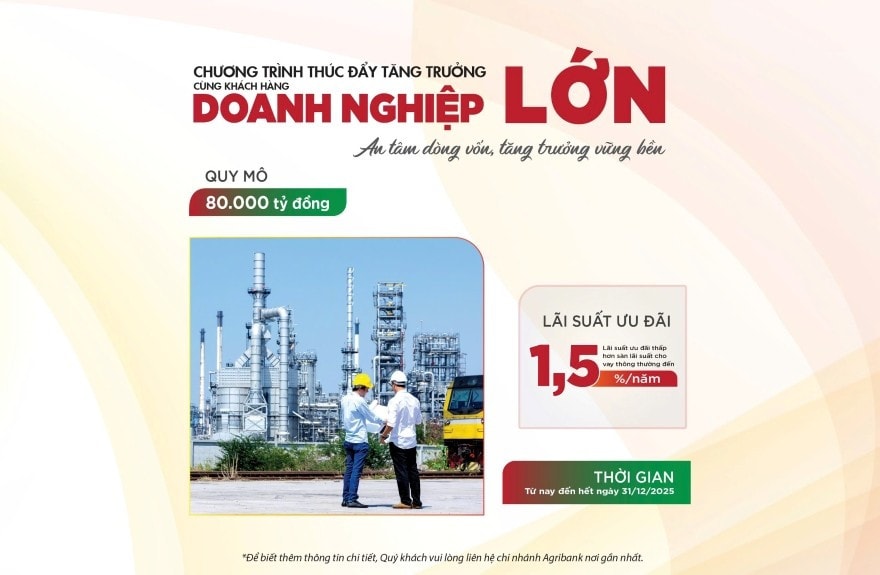 doanh-nghiep-lon.jpg