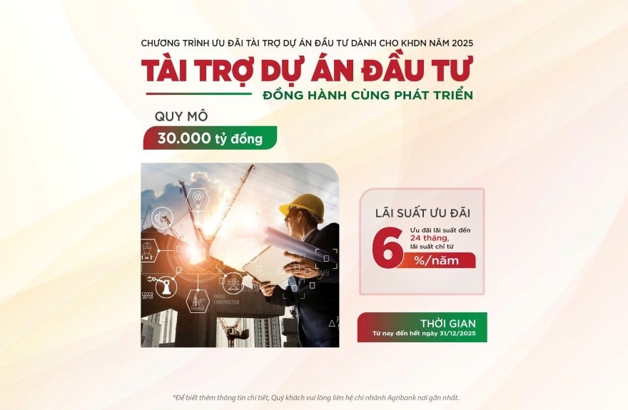 du-an-dau-tu.jpg