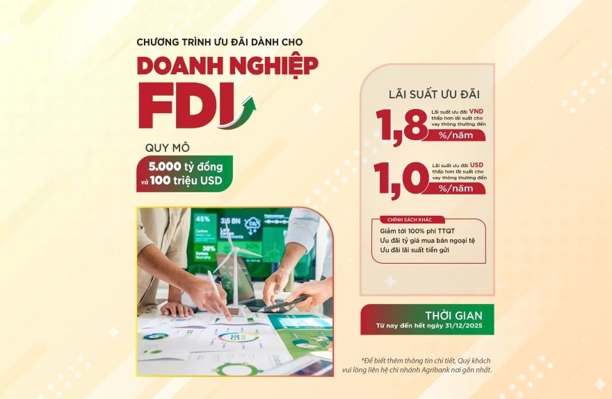 fdi.jpg
