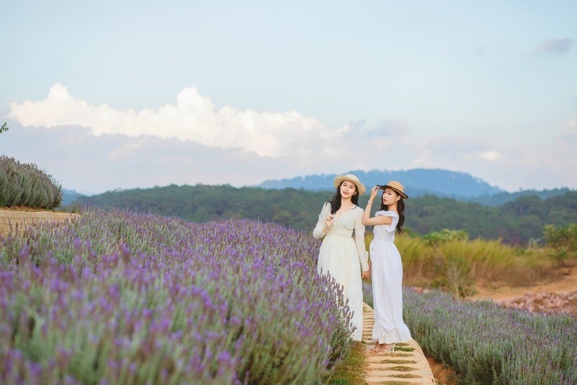 lavender-da-lat-1.jpg
