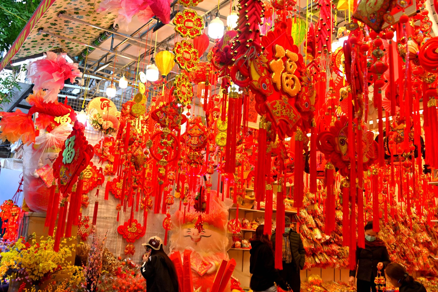 dsc-3364.jpg