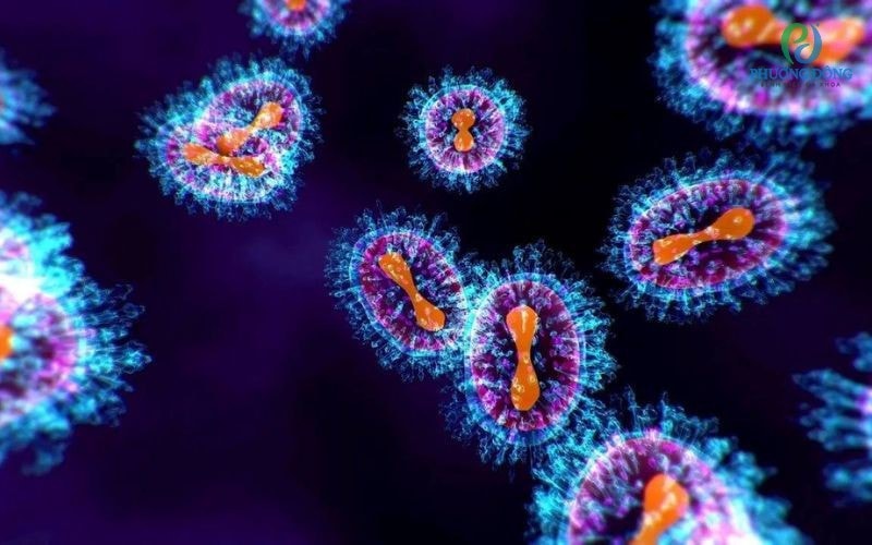virus-hmpv-1.jpg