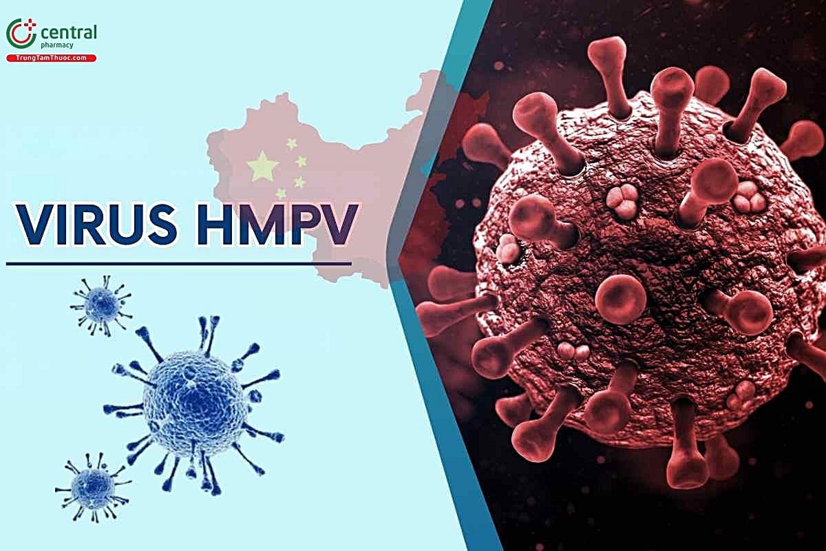 virus-hmpv-3-7858.jpg
