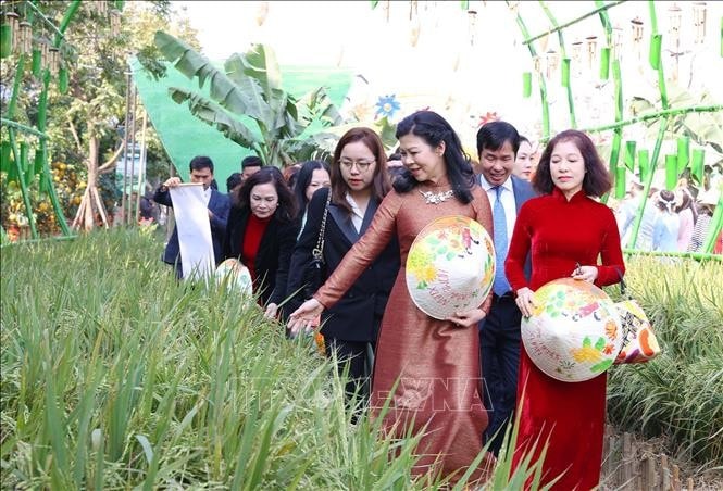 Bà Ngô Phương Ly, Phu nhân Tổng Bí thư Tô Lâm, cùng các đại biểu tham quan và trải nghiệm tại đường hoa. Ảnh: Văn Điệp/TTXVN