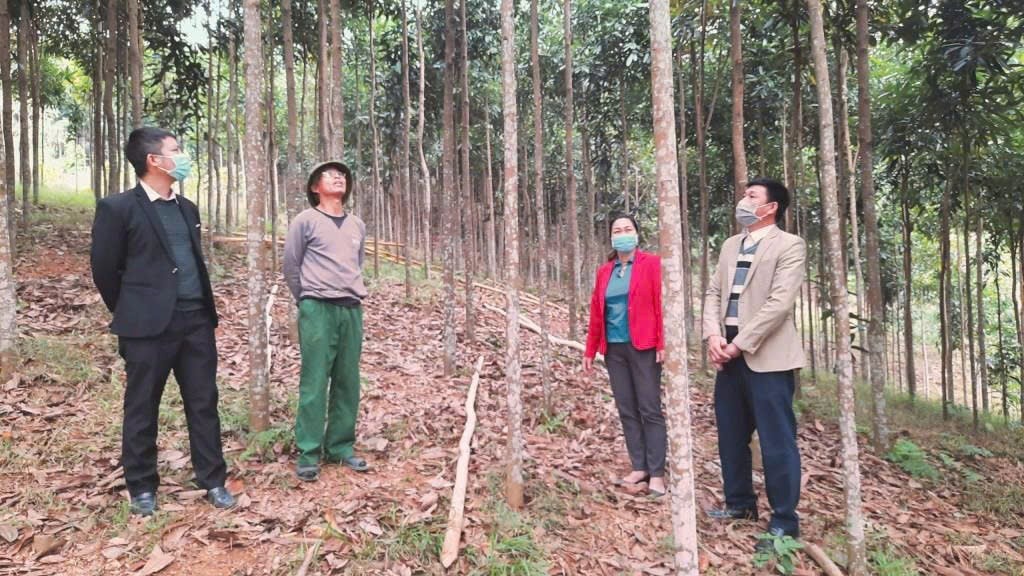 Nông dân huyện Lục Yên sử dụng vốn chính sách đầu tư phát triển kinh tế, giảm nghèo bền vững, cải thiện cuộc sống