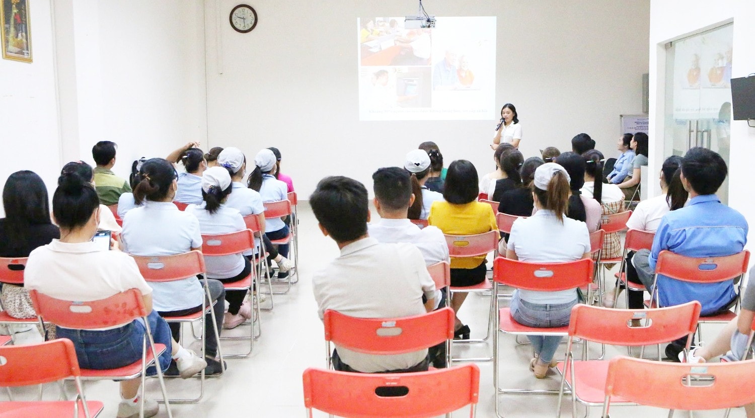 p1.jpg