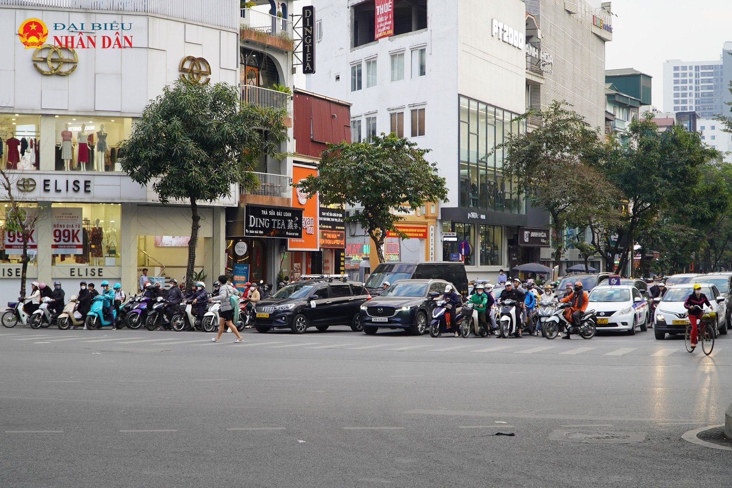 tran-thai-tong-1.jpg