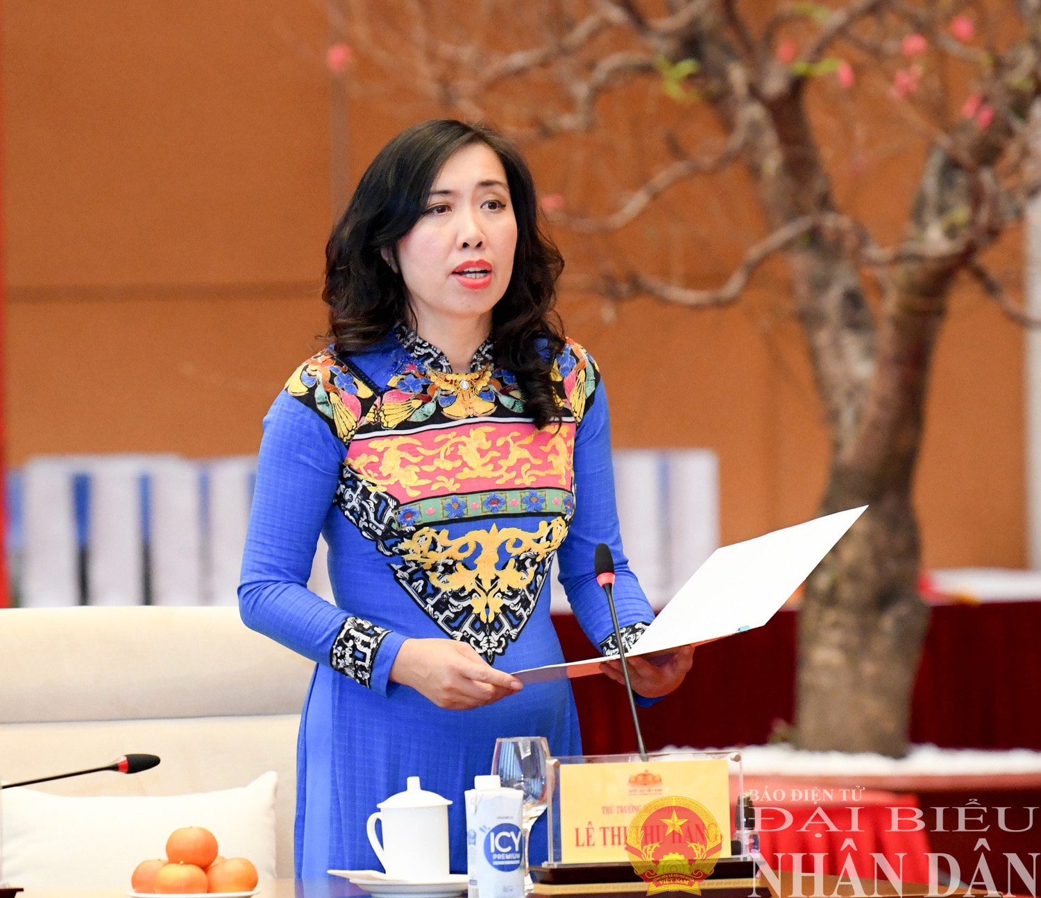 Thứ trưởng Bộ ngoại giao Lê Thị Thu Hằng phát biểu tại cuộc gặp mặt. Ảnh: Lâm Hiển