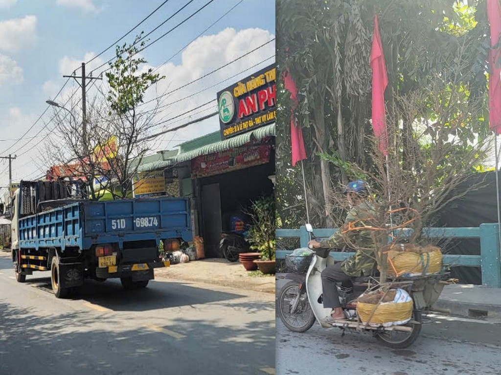 anh-chon6.jpg