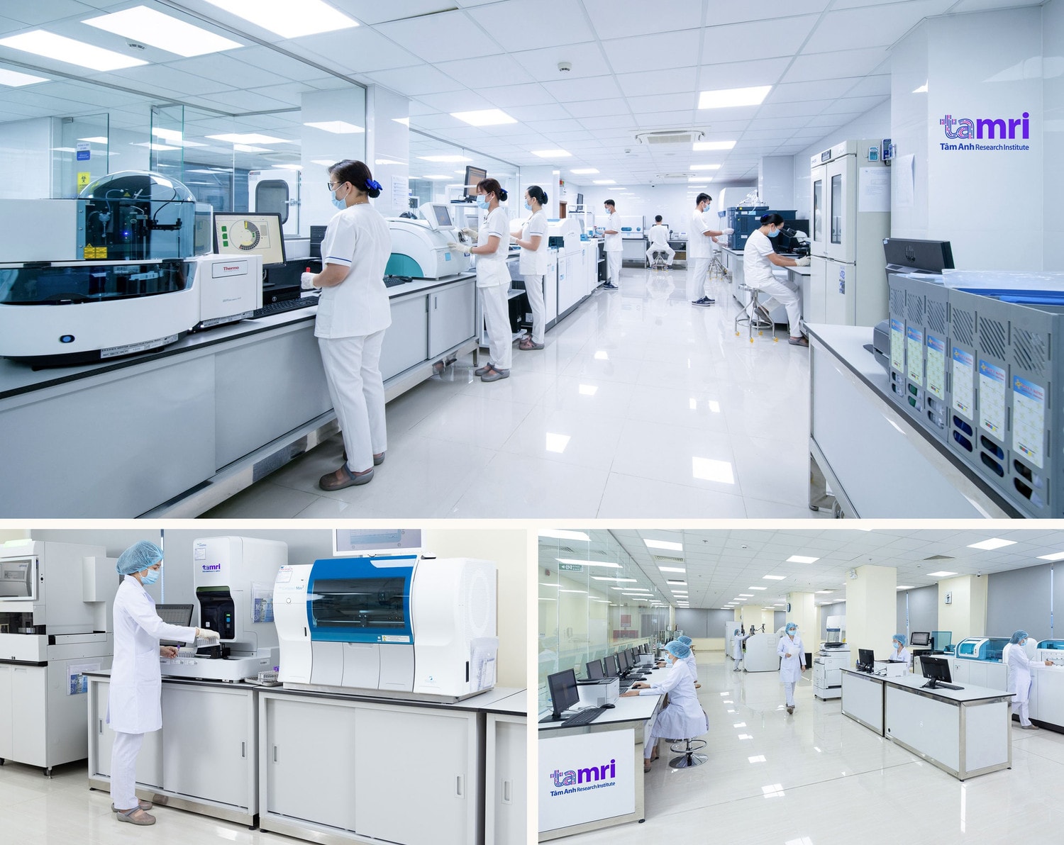 TAMRI là đối tác của nhiều trường đại học, tổ chức cung cấp dịch vụ y tế, bệnh viện, công ty dược đa quốc gia,... tại Việt Nam và toàn cầu; cùng phát triển y học, cung cấp các liệu pháp cá nhân hóa an toàn và hiệu quả, góp phần cải thiện việc chăm sóc bệnh nhân và phát triển các phương pháp điều trị mới nhằm nâng cao sức khỏe cộng đồng tại Việt Nam và trên thế giới
