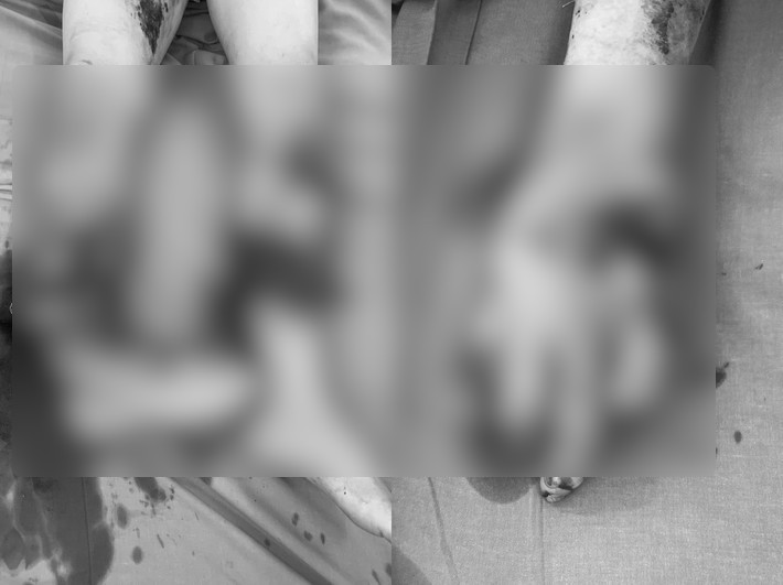 9a4d578076d1c98f90c0.png