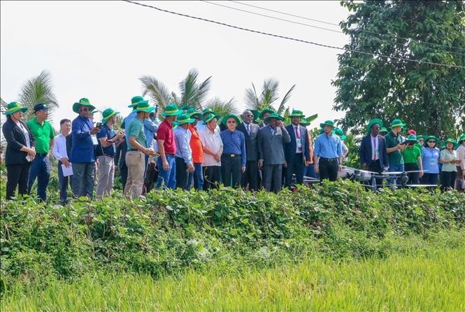 Delegates visit New Green Farm, Thot Not district, Can Tho (Photo: VNA) vna-potal-apf-delegates-explore-green-agriculture-in-can-tho-stand.jpg