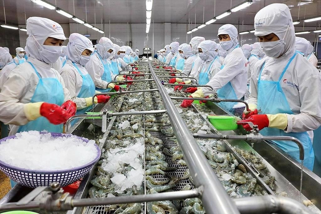 Năm 2024, lần đầu tiên Việt Nam vượt qua Nhật Bản để xếp vị trí thứ 5 về xuất khẩu thủy sản sang Singapore. Nguồn: ITN