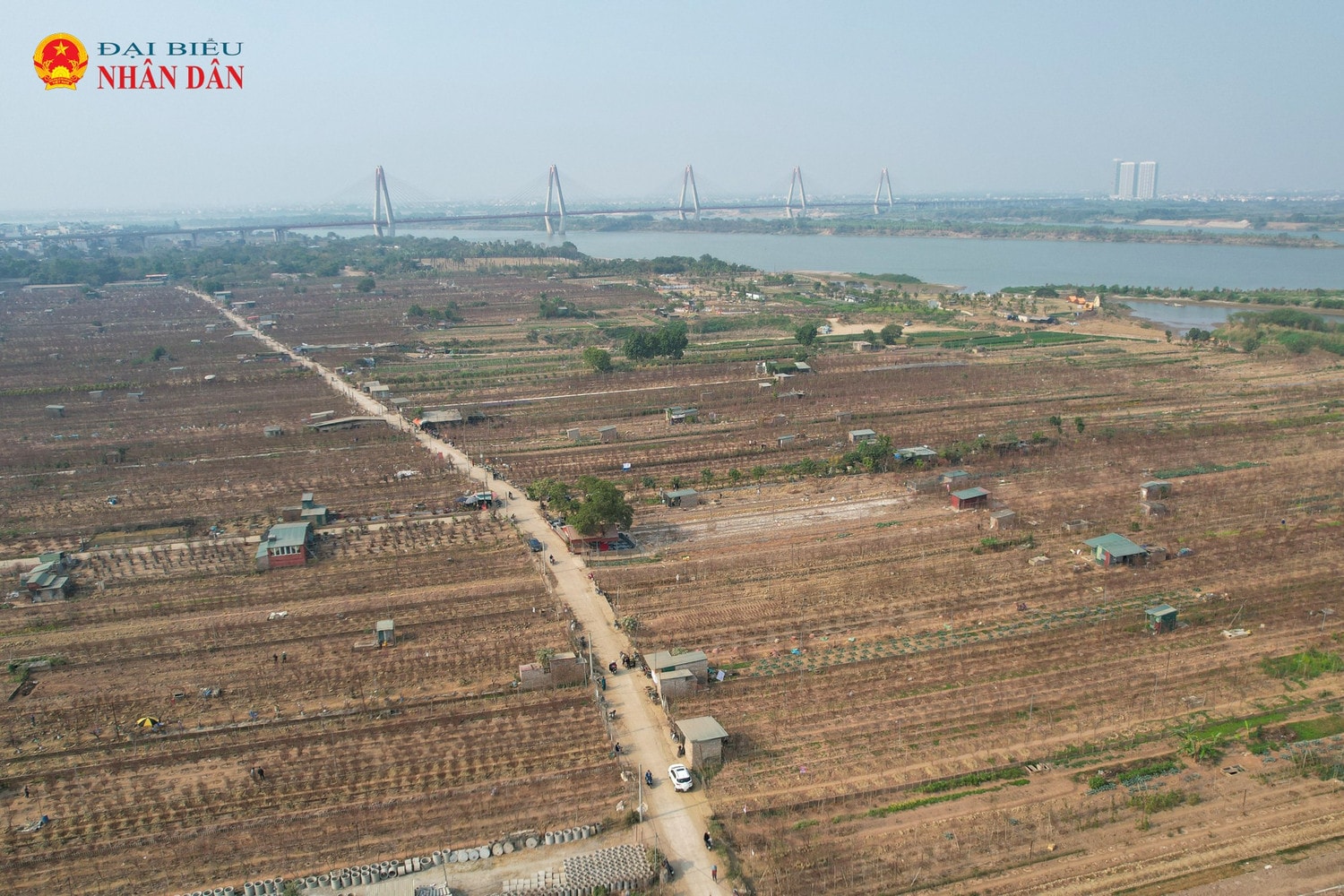 dao-nhat-tan-2025-5.jpg
