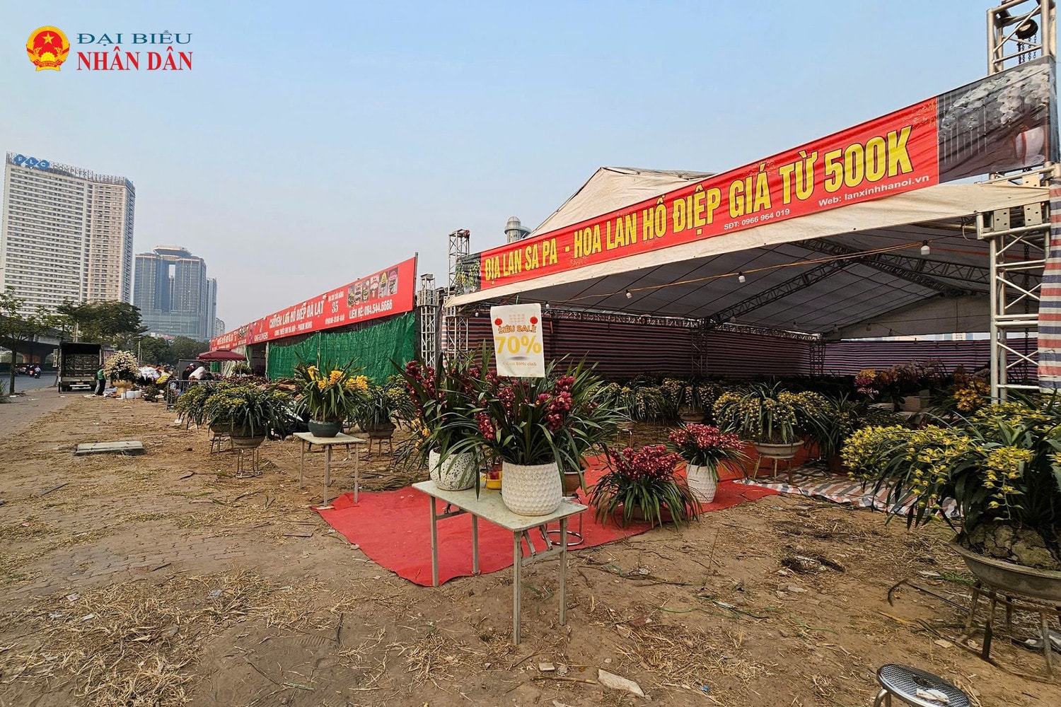 hoa-lan-ho-diep-2025-12.jpg