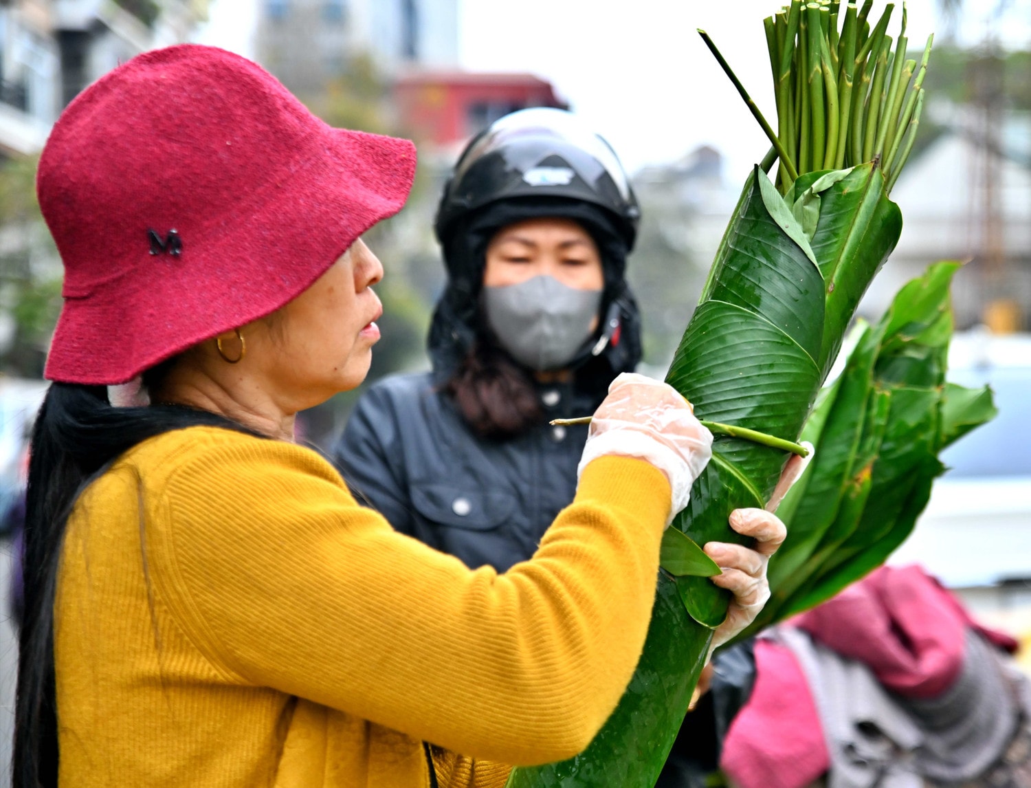 dsc-7889.jpg