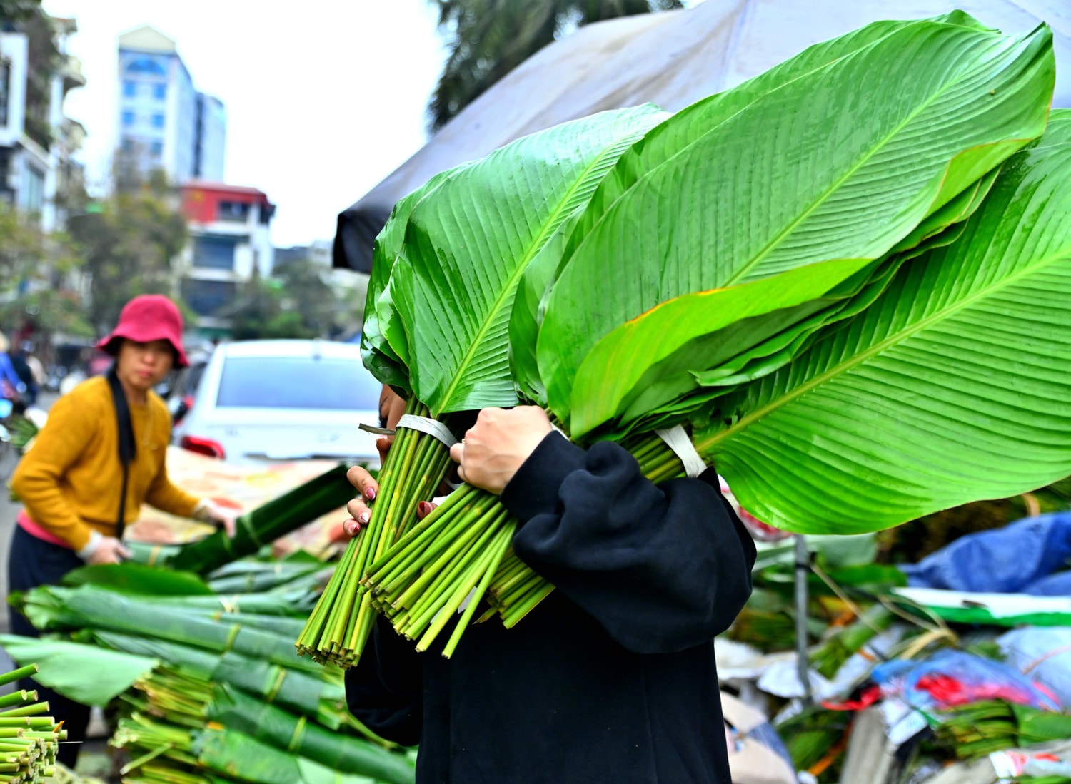 dsc-7823.jpg