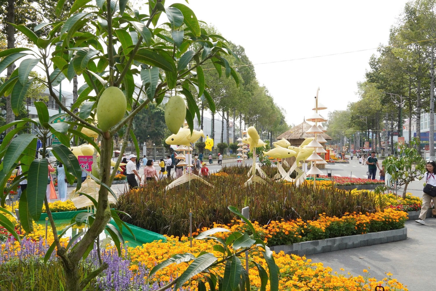 duong-hoa-cao-lanh-2.jpg
