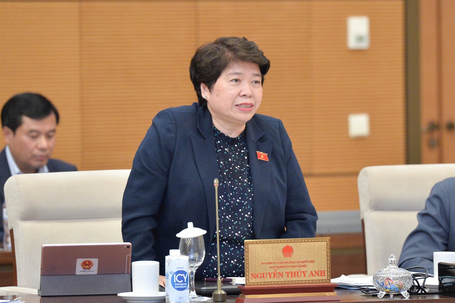 Chủ nhiệm Ủy ban Xã hội Nguyễn Thúy Anh phát biểu. Ảnh: Hồ Long