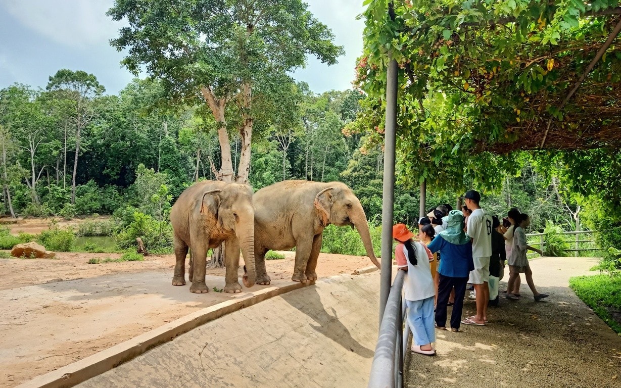 du-khach-nho-tham-vuon-thu-safarri.jpg