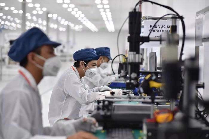 Có tới 70% doanh nghiệp toàn cầu đã hoặc đang có kế hoạch tuyển dụng nhân lực xanh. Ảnh: Thu Hằng