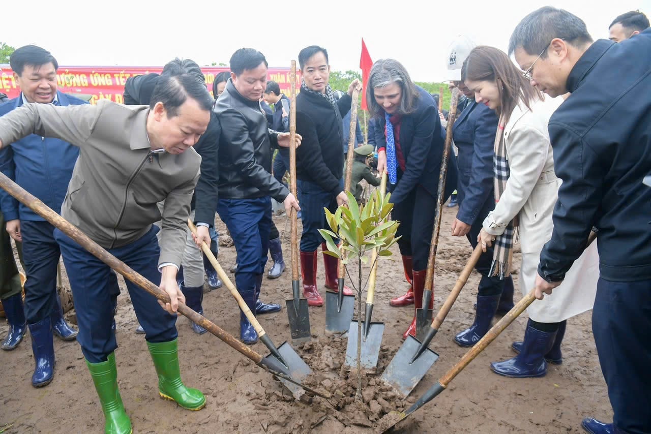 Bộ trưởng Bộ Tài nguyên và Môi trường Đỗ Đức Duy cùng các đại biểu trồng cây tại khu bảo tồn thiên nhiên đất ngập nước Thái Thụy